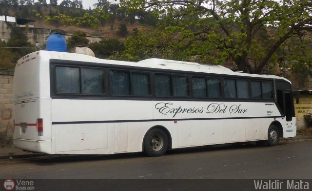 Expresos Del Sur 2019 por Waldir Mata