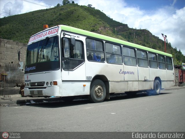 Colectivos La Raiza C.A. 09 por Edgardo González
