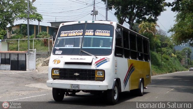 S.C. Lnea Transporte Expresos Del Chama 079. por Leonardo Saturno