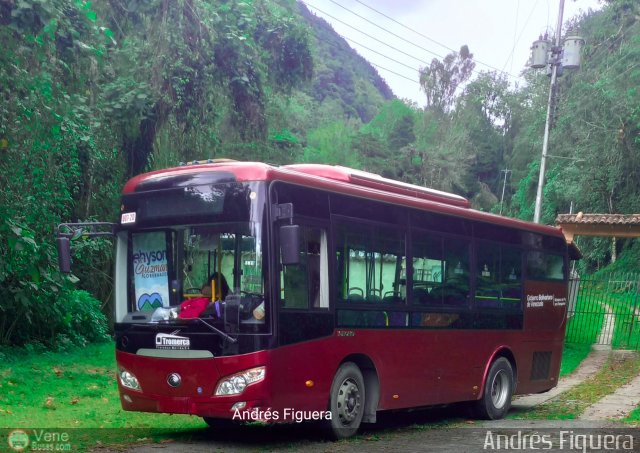 Trolmerida - Tromerca U07-20 por Andr�s Figuera