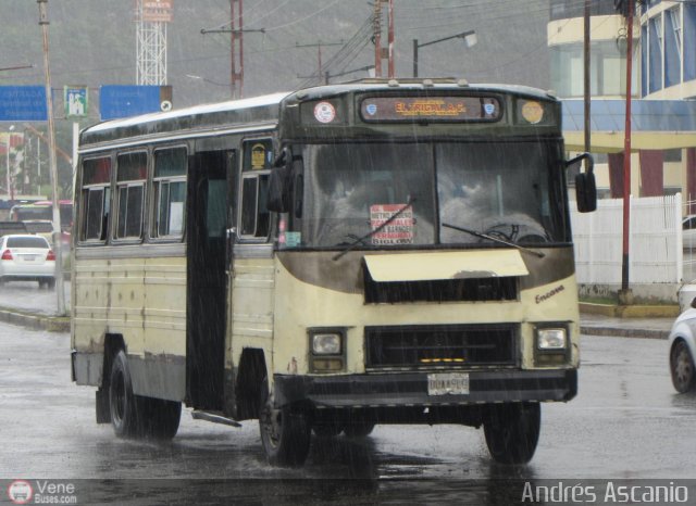 CA - Asociaci�n Coop. El Trigal R.L. 27 por Andr�s Ascanio