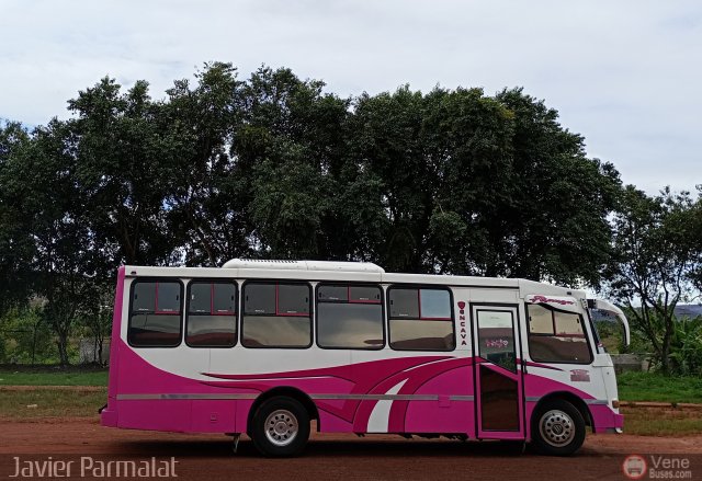 Grupo de Transporte Los Intendentes 025 por Javier Arretureta