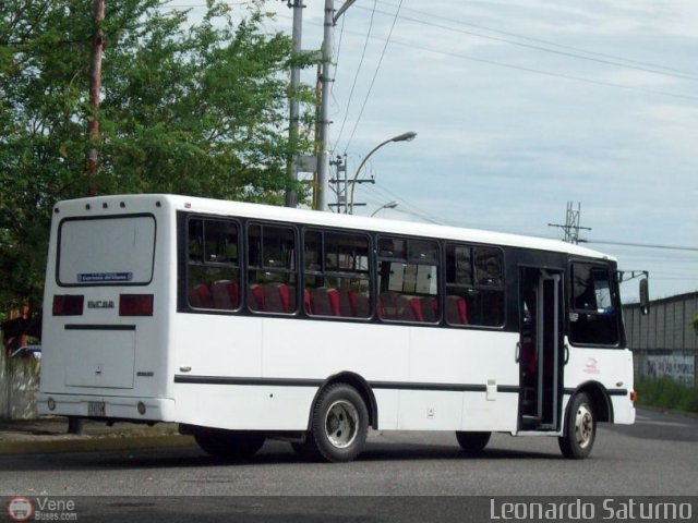 S.C. L�nea Transporte Expresos Del Chama 117 por Leonardo Saturno