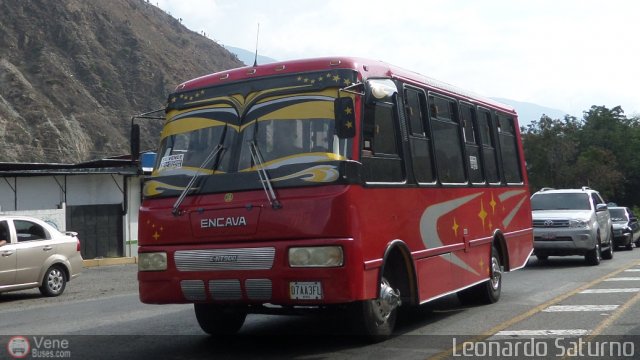 Particular o Desconocido 07 por Leonardo Saturno