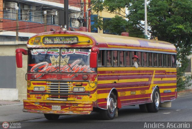 Transporte Agua Blanca 09 por Andrs Ascanio