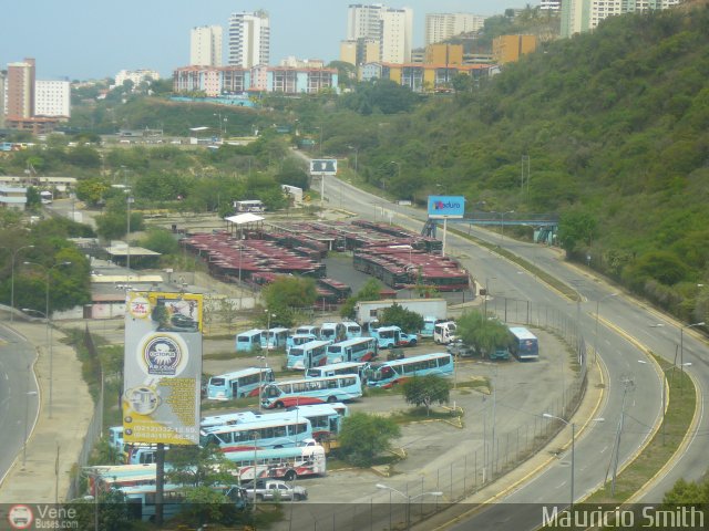 Garajes Paradas y Terminales Macuto por Mauricio Smith