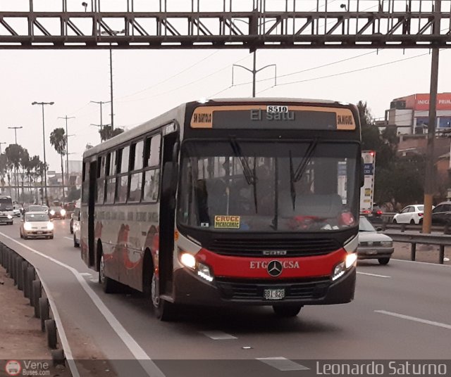 E.T. y Servicios Guadulfo Silva Carbajal 828, por Leonardo Saturno