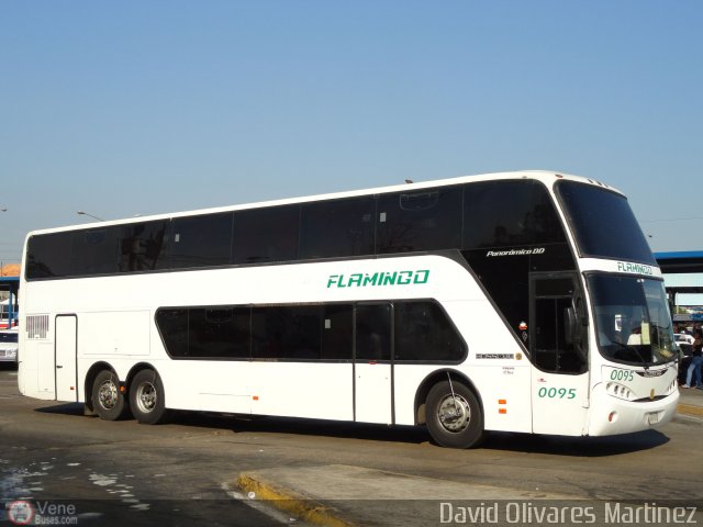 Expresos Flamingo 0095 por David Olivares Martinez