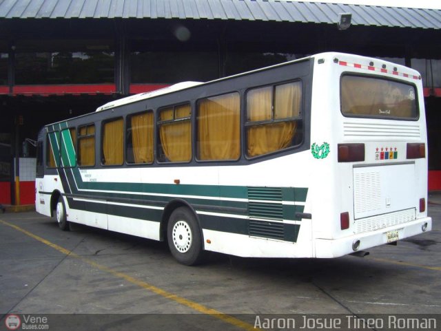 Servicios Especiales del Centro C.A. 49 por Alvin Rondn