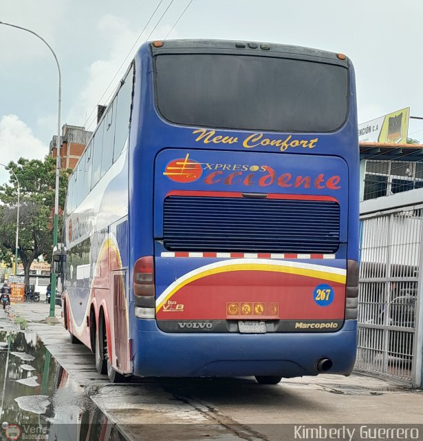 Expresos Occidente 267 por Kimberly Guerrero