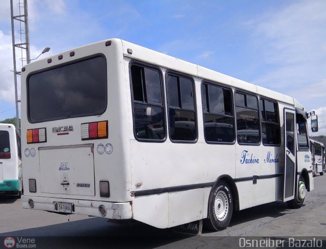 A.C. Mixta de Transporte Táchira Mérida R.L. 0211 por Osneiber Bazalo