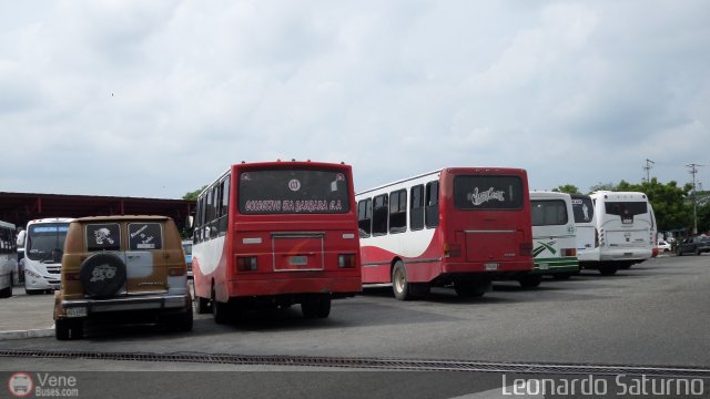 Garajes Paradas y Terminales El-Vigia por Leonardo Saturno