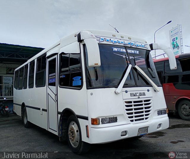 Grupo de Transporte Los Intendentes 049 por Javier Arretureta