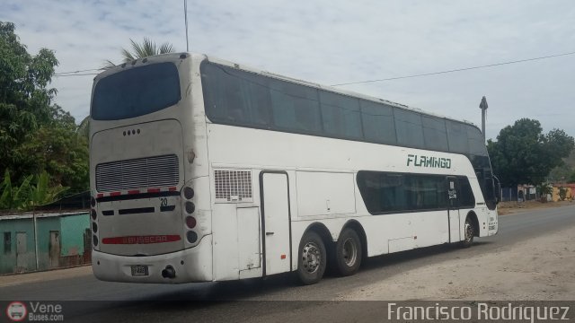 Expresos Flamingo 2020 por Francisco Rodr�guez