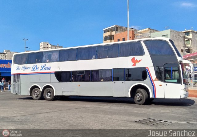 Los P�jaros de Lara 045 por Josue S�nchez