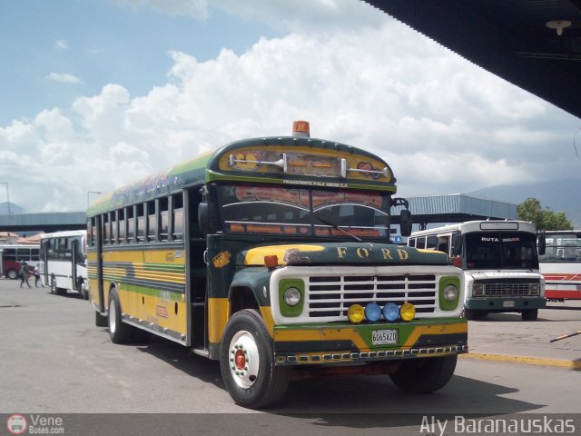 Transporte Palo Negro La Morita 2 092 por Aly Baranauskas