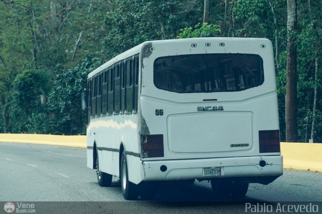 Particular o Desconocido 56 por Pablo Acevedo