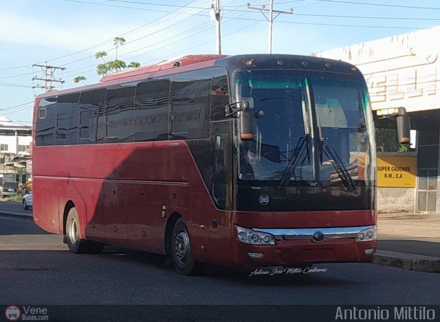Sistema Integral de Transporte Superficial S.A 235 por Antonio Mittilo