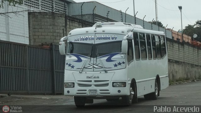 A.C. Flota Jun�n 09 por Pablo Acevedo