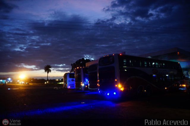 Expresos Occidente Gua 2019 2 por Pablo Acevedo