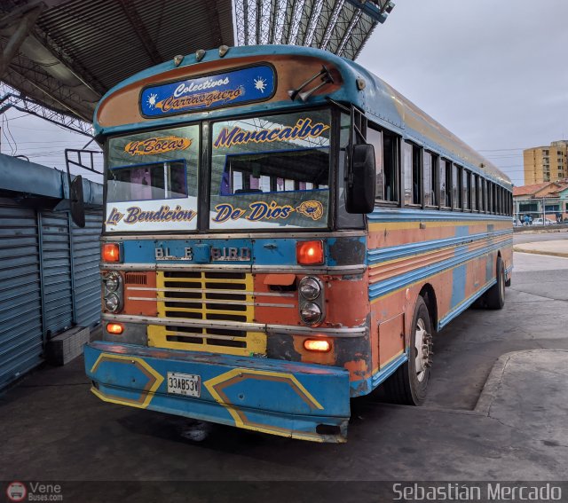 Colectivo Matera Nueva 28 por Sebasti�n Mercado