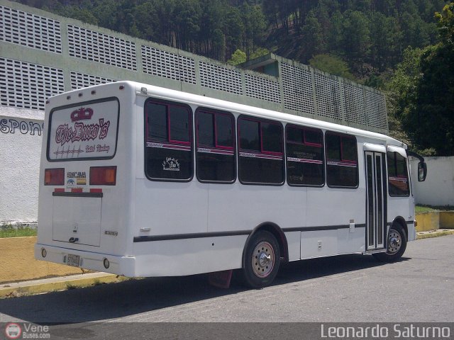 L�nea Los Andes S.C. 060 por Leonardo Saturno