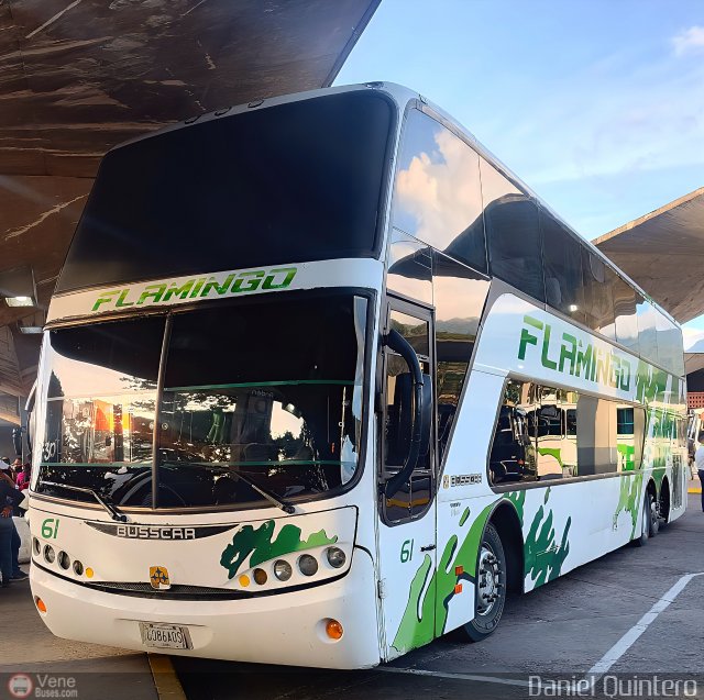 Expresos Flamingo 0061 por Daniel Quintero