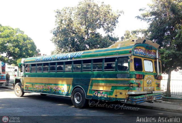 Transporte Palo Negro La Morita 2 058 por Andrs Ascanio