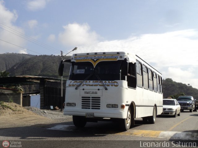 Colectivo Los Andes 23 por Leonardo Saturno