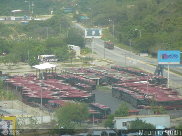 Garajes Paradas y Terminales Macuto por Mauricio Smith
