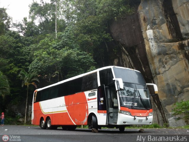 Particular o Desconocido 2016 por Aly Baranauskas