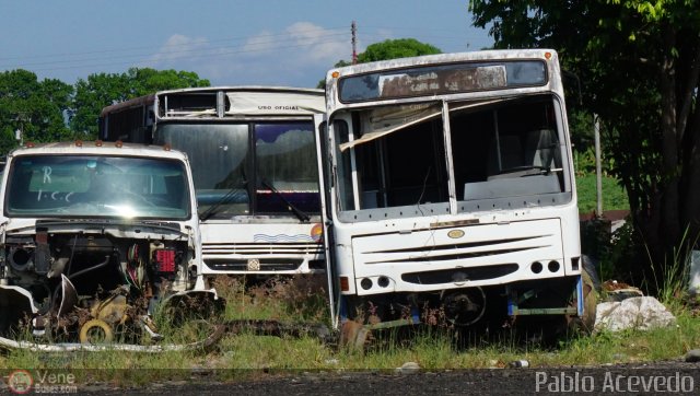 En Chiveras Abandonados Recuperaci�n  por Pablo Acevedo