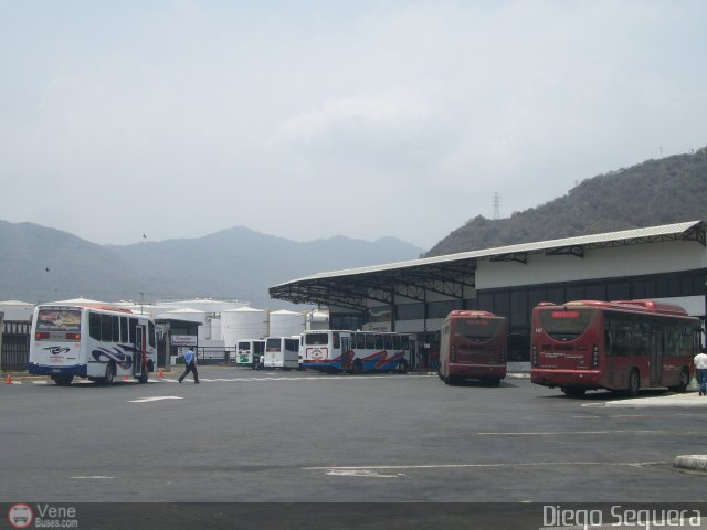 Garajes Paradas y Terminales Puerto-Cabello por Diego Sequera