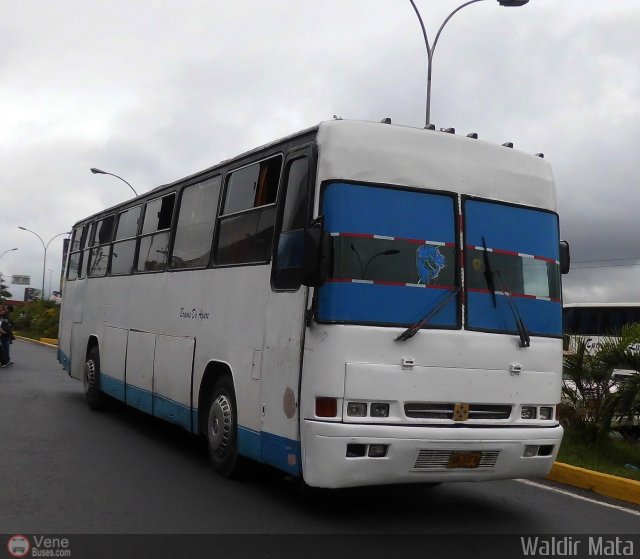Bravos de Apure 02 por Waldir Mata