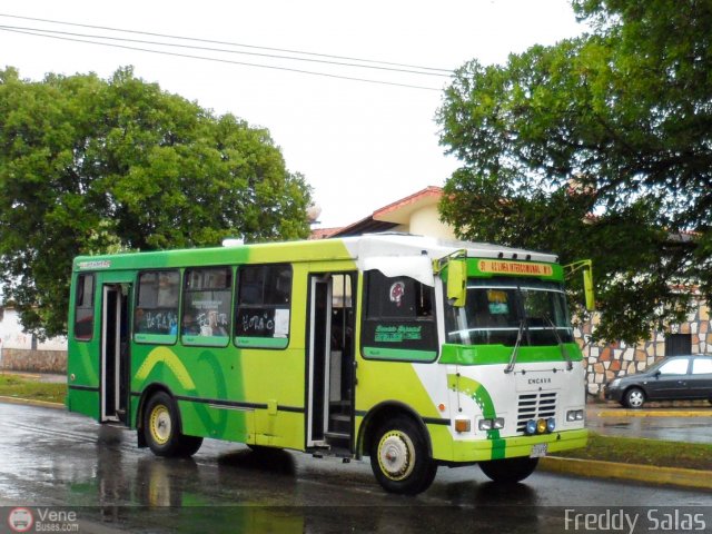 TA - A.C. Lnea Intercomunal 51 por Freddy Salas