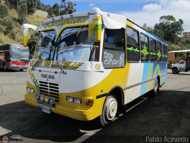 ME - L�nea La Otra Banda 25 por Pablo Acevedo