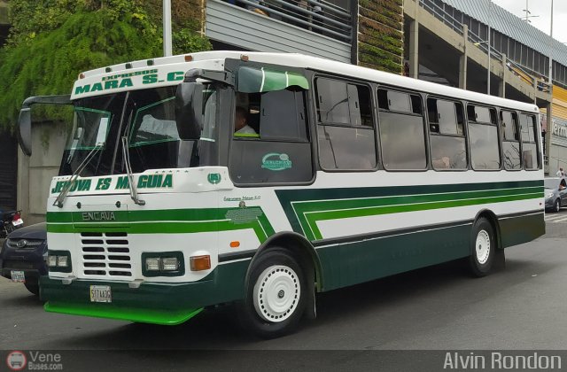 S.C. Expresos Mara 005 por Alvin Rondn