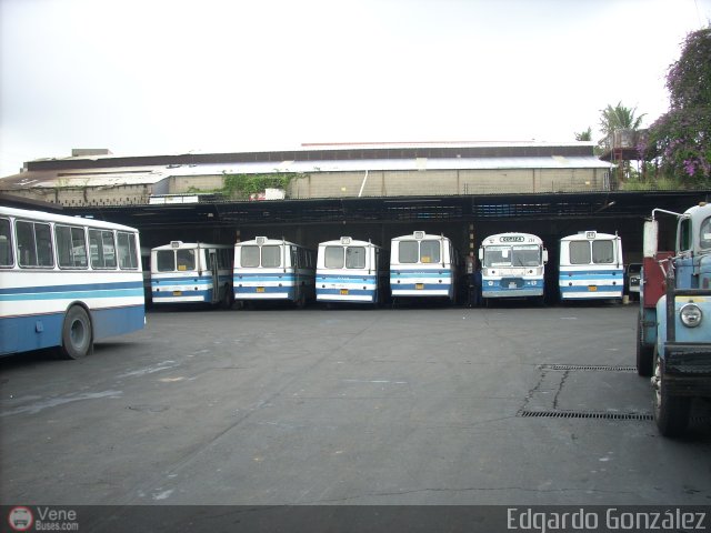 Garajes Paradas y Terminales Caracas por Edgardo Gonz�lez
