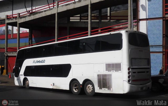 Expresos Flamingo 0113 por Waldir Mata