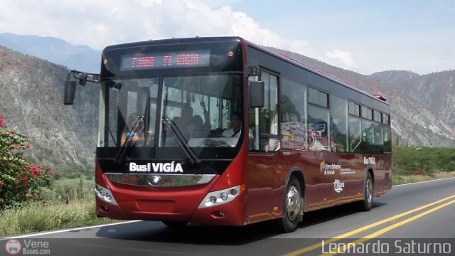 Bus Vigía 99 por Leonardo Saturno