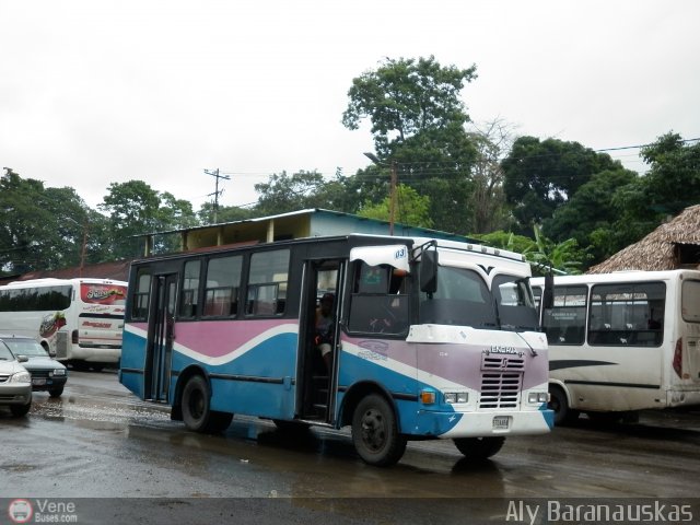 A.C. de Transporte Encarnaci�n 003 por Aly Baranauskas