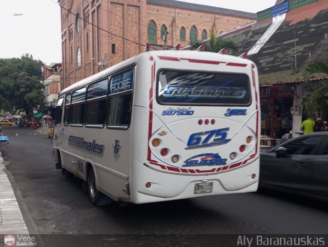 Transporte Guasimales S.A. 675 por Aly Baranauskas