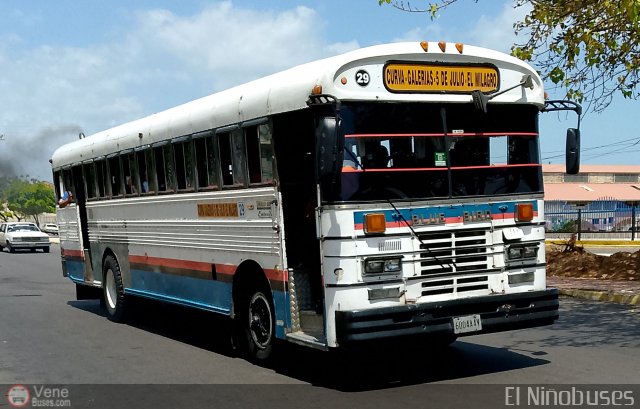 ZU - Colectivos Coraz�n de Jes�s 29 por �ngel Delgado