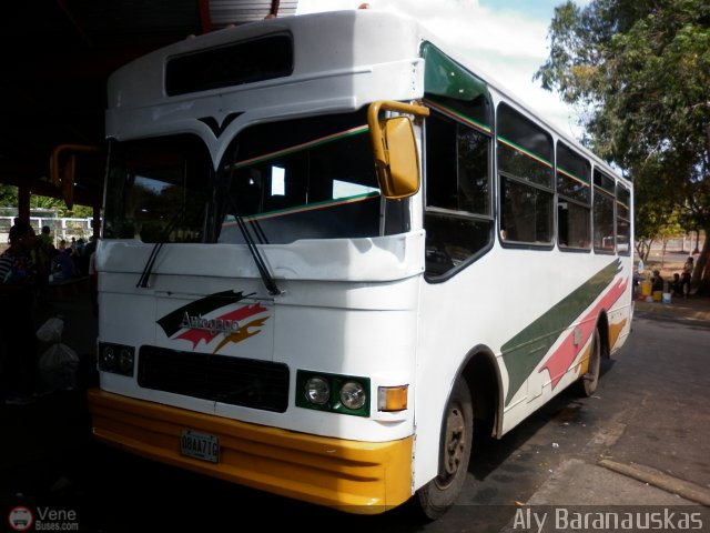 A.C.C. Turgar 08 por Aly Baranauskas