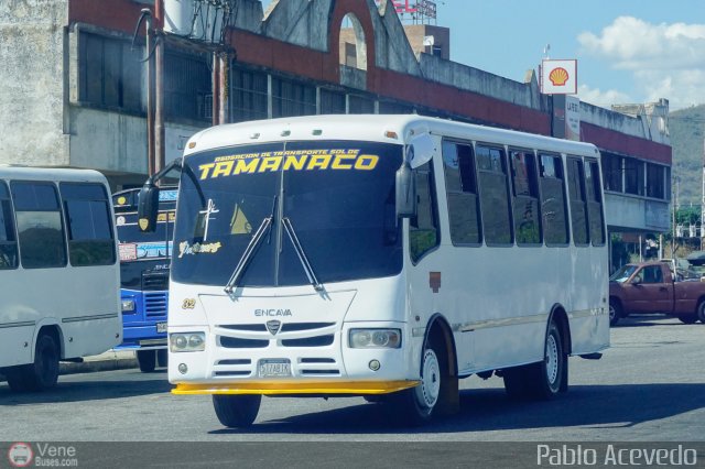 A.C. de Transporte Sol de Tamanaco 32 por Pablo Acevedo