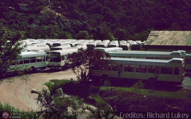 Instituto Municipal de Transporte Colectivo 0988 por J. Carlos G�mez