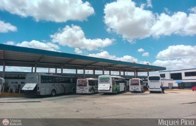 Garajes Paradas y Terminales El-Tigre por Miguel Pino