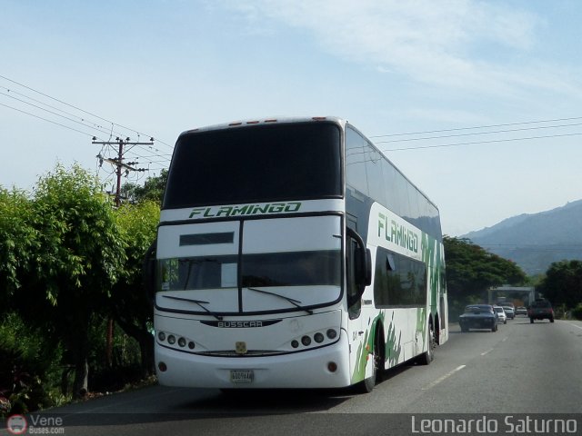 Expresos Flamingo 0241 por Leonardo Saturno