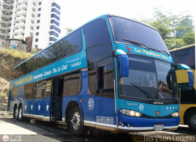 Los P�jaros de Lara 003 por Deryson Cede�o