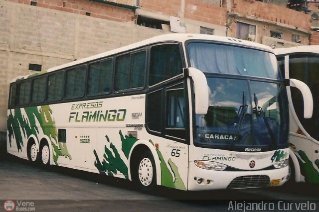 Expresos Flamingo 65 por Alejandro Curvelo